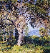 Guy Rose The Oak oil painting on canvas